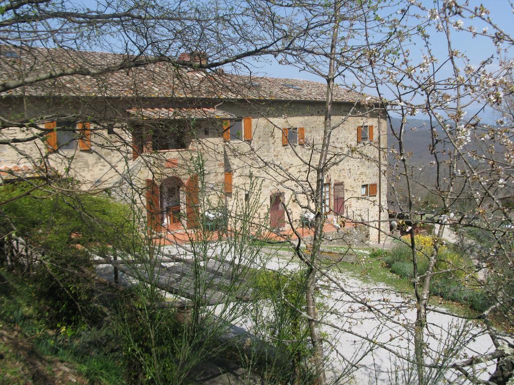 La Ghiandaia Casa Vacanza Lucolena in Chianti ห้อง รูปภาพ