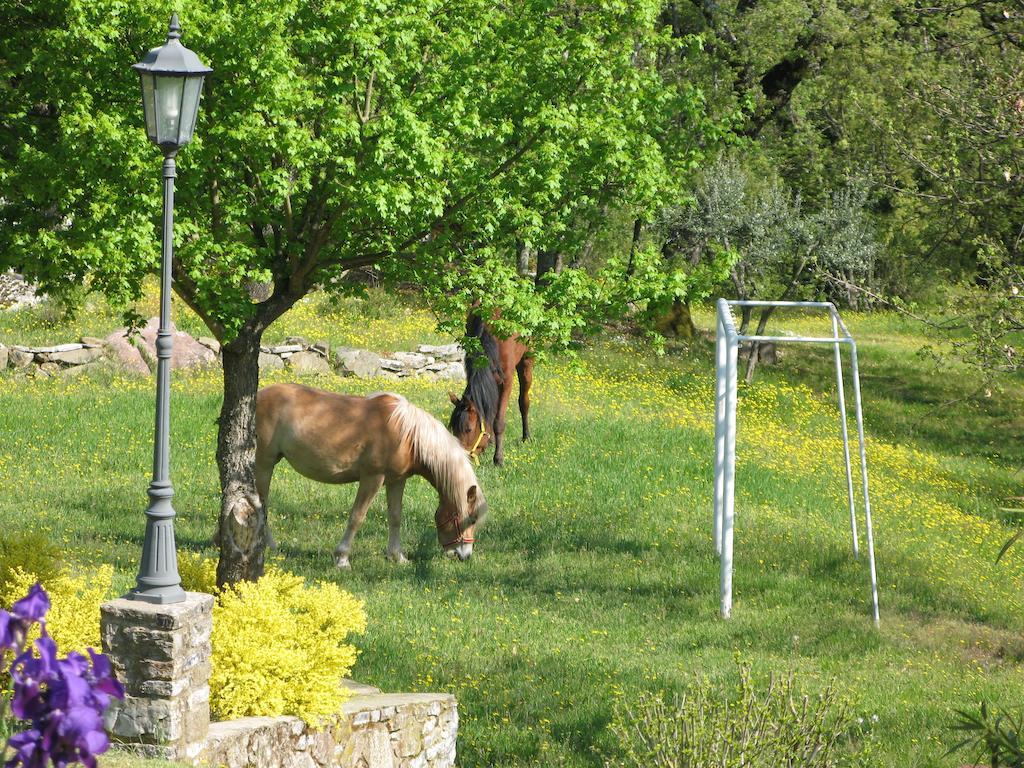 La Ghiandaia Casa Vacanza Lucolena in Chianti ภายนอก รูปภาพ
